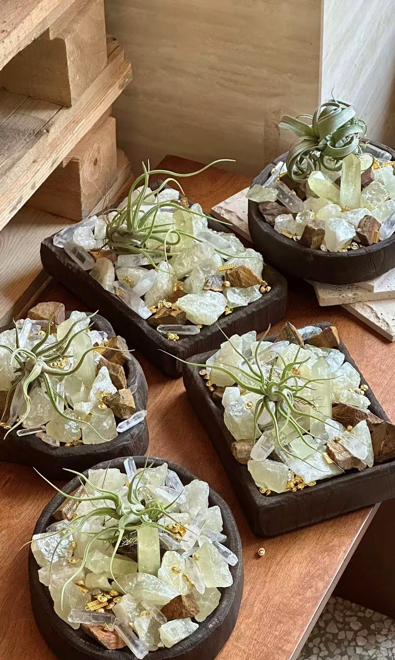 Solar Root Energy Bowl — DIY Kit
