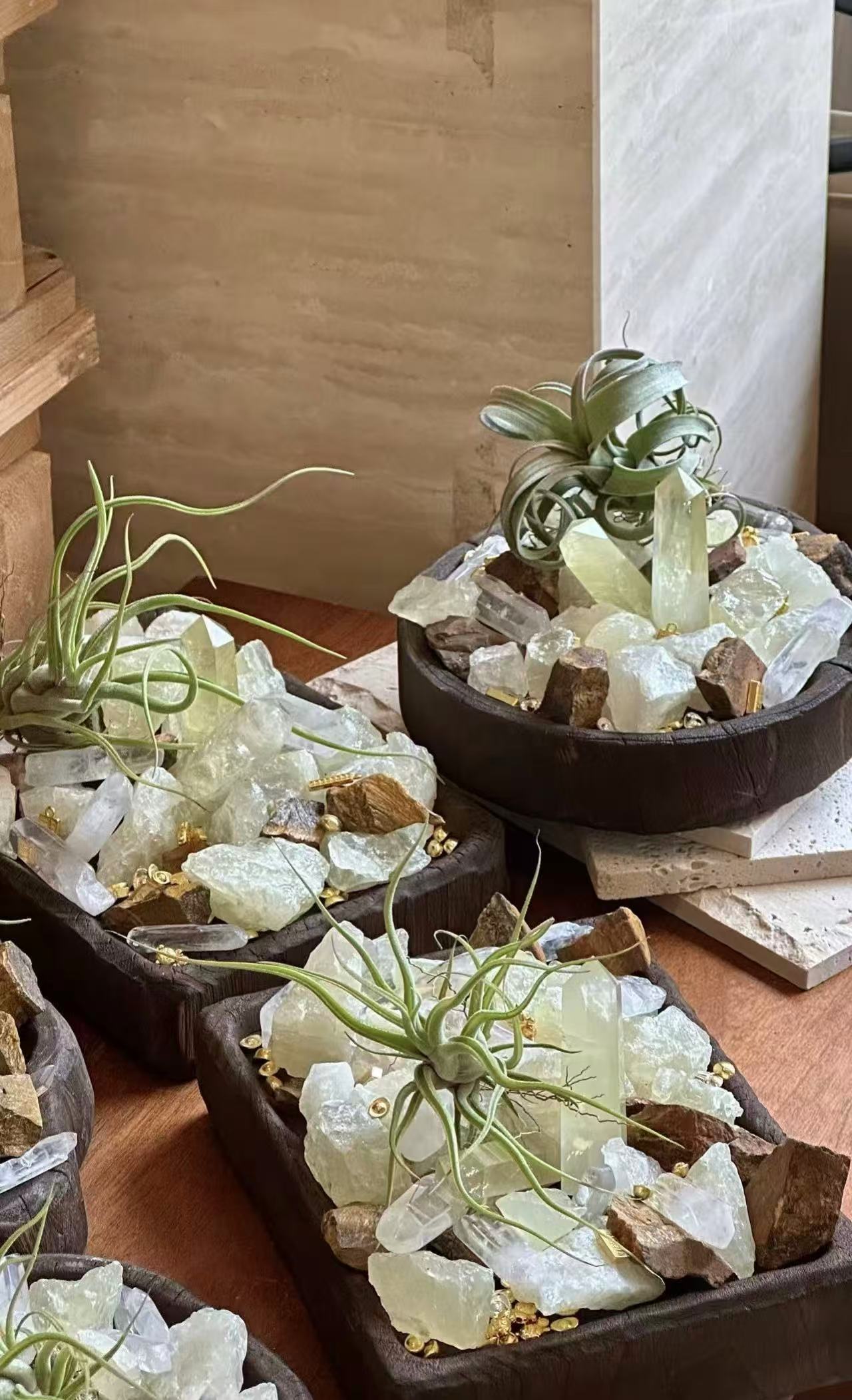 Solar Root Energy Bowl — DIY Kit