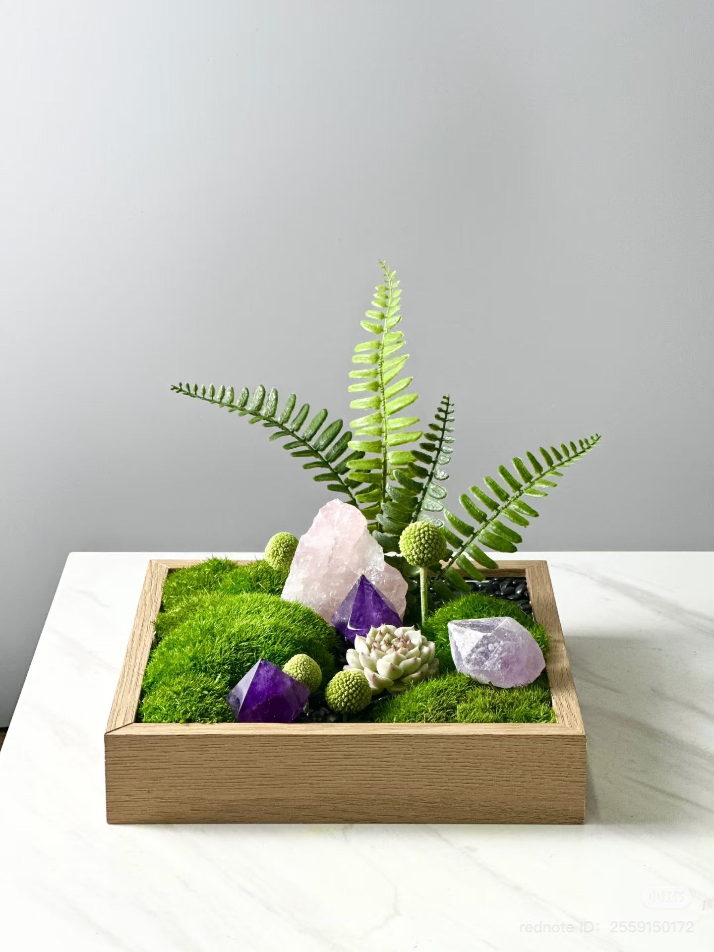 verdant succulent garden Verdant Crystal Garden — DIY Kit – Auris Space