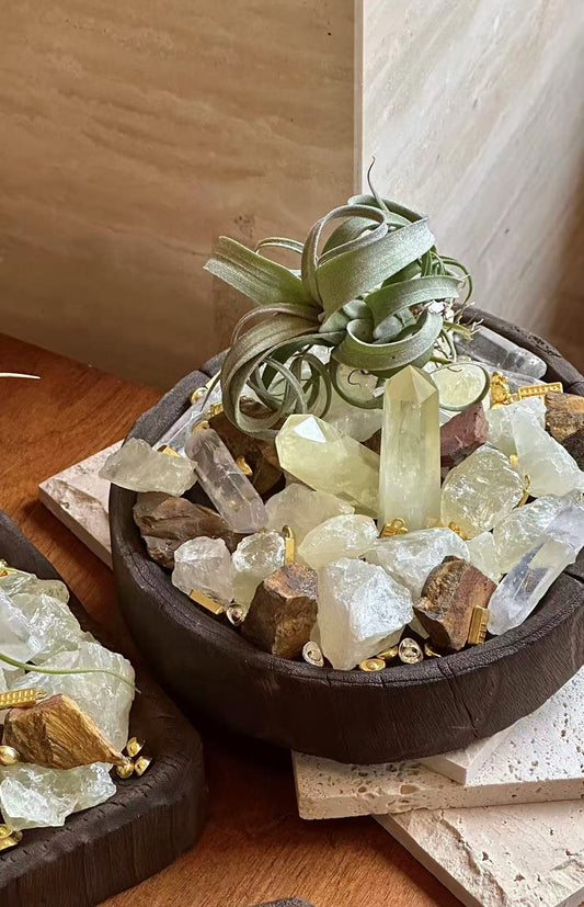 Solar Root Energy Bowl — DIY Kit